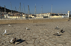 Cap D'Agde 2025